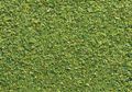 Присыпка светло-зеленая 100g Auhagen (60802)